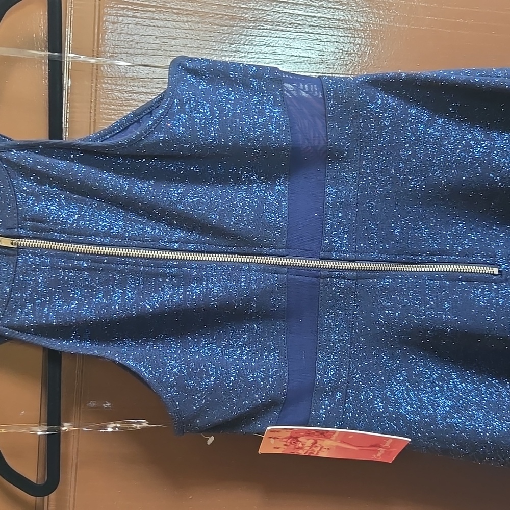 Emerald Sunday-Blue shimmery sleeveless fit n flare dress Sz S NWT - Picture 6 of 7